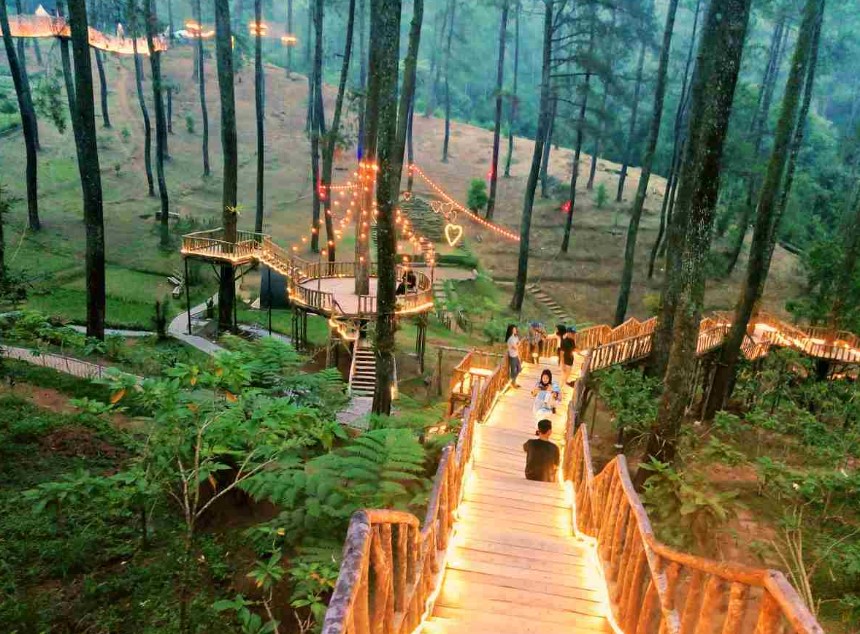 Orchid Forest Cikole Bandung, Foto idetrips.com