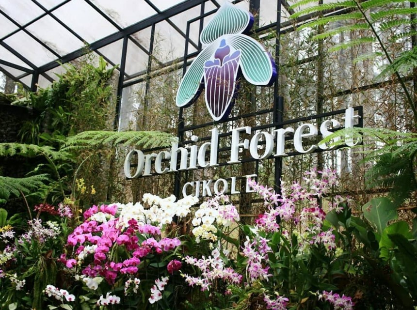 Orchid Forest Cikole Lembang, Surga Anggrek di Bandung, Lengkap Info Harga Tiket Masuk hingga Penginapan!, Foto asedino.com