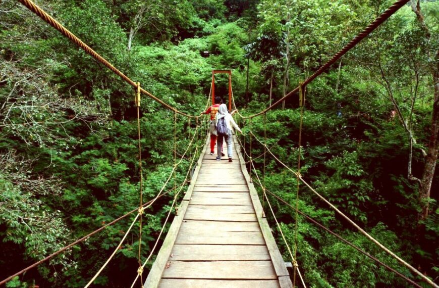 Pesona Taman Hutan Raya Ir. H. Djuanda Bandung, Foto Wikipedia